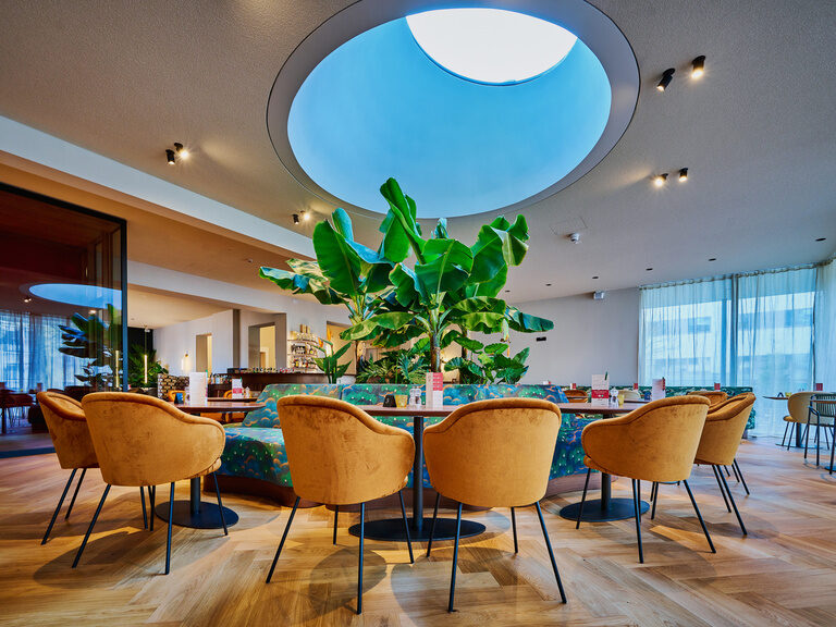 Tische um eine Bananenpflanze und Glaskuppel herum im modernen Restaurant des Hotel ASAM, Straubing. Tische um eine Bananenpflanze und Glaskuppel herum im modernen Restaurant des Hotel ASAM, Straubing.